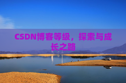 CSDN博客等级,探索与成长之路